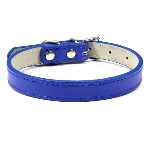 Collier pour Chihuahua en cuir uni bleu. Tendance, pour offrir confort et sécurité à votre petit chien ou chat
