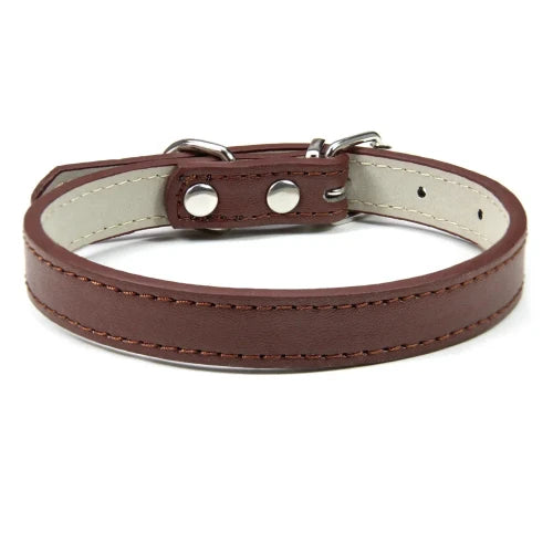 Collier pour Chihuahua en cuir uni marron. Tendance, pour offrir confort et sécurité à votre petit chien ou chat