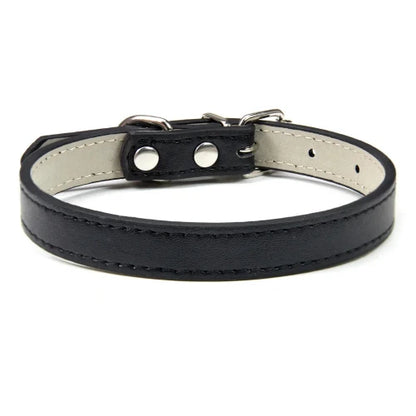Collier pour Chihuahua en cuir uni noir. Tendance, pour offrir confort et sécurité à votre petit chien ou chat