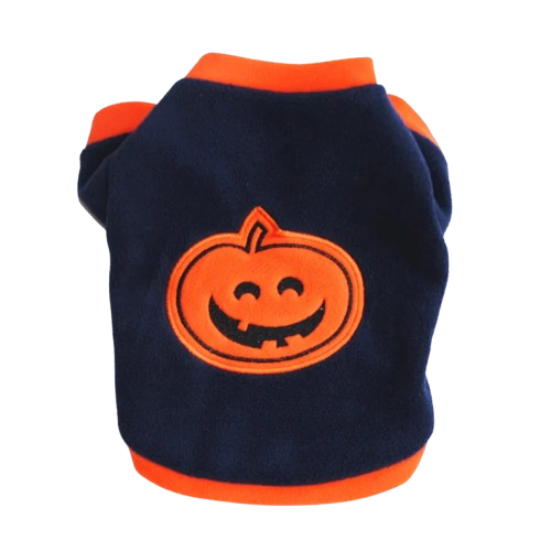 Pull Chihuahua : Citrouille Halloween