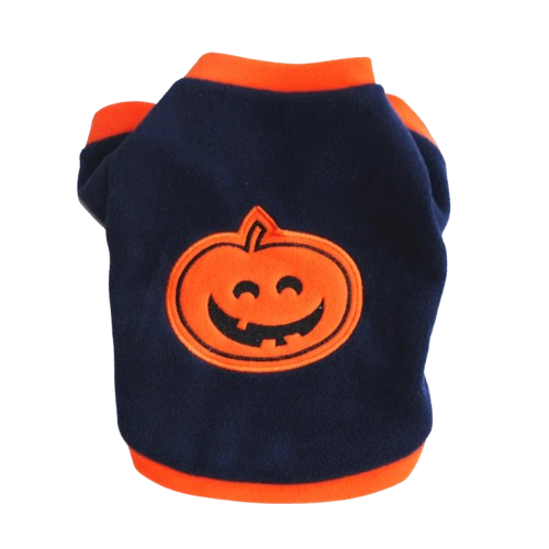 Pull pour Chihuahua noir avec motif citrouille halloween – Confortable, vêtement parfait pour garder votre petit chien ou chat au chaud
