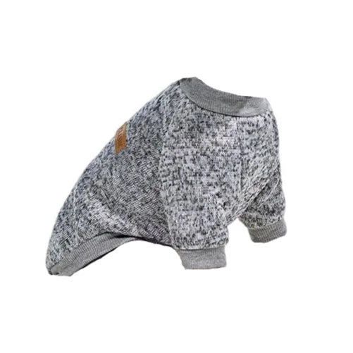 Pull Chihuahua : Gris