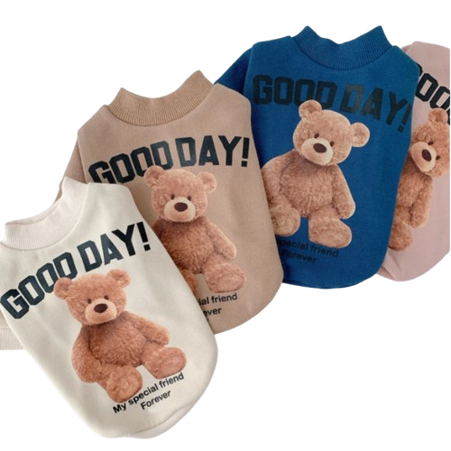 Chihuahua Sweater: Good Day