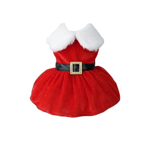 Robe Chihuahua : Noël Rouge & Noir