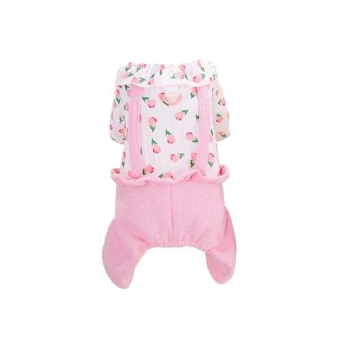 Chihuahua Overalls: Pink Flowers