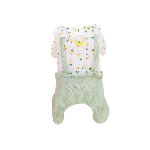 Chihuahua Overalls: Green Flowers