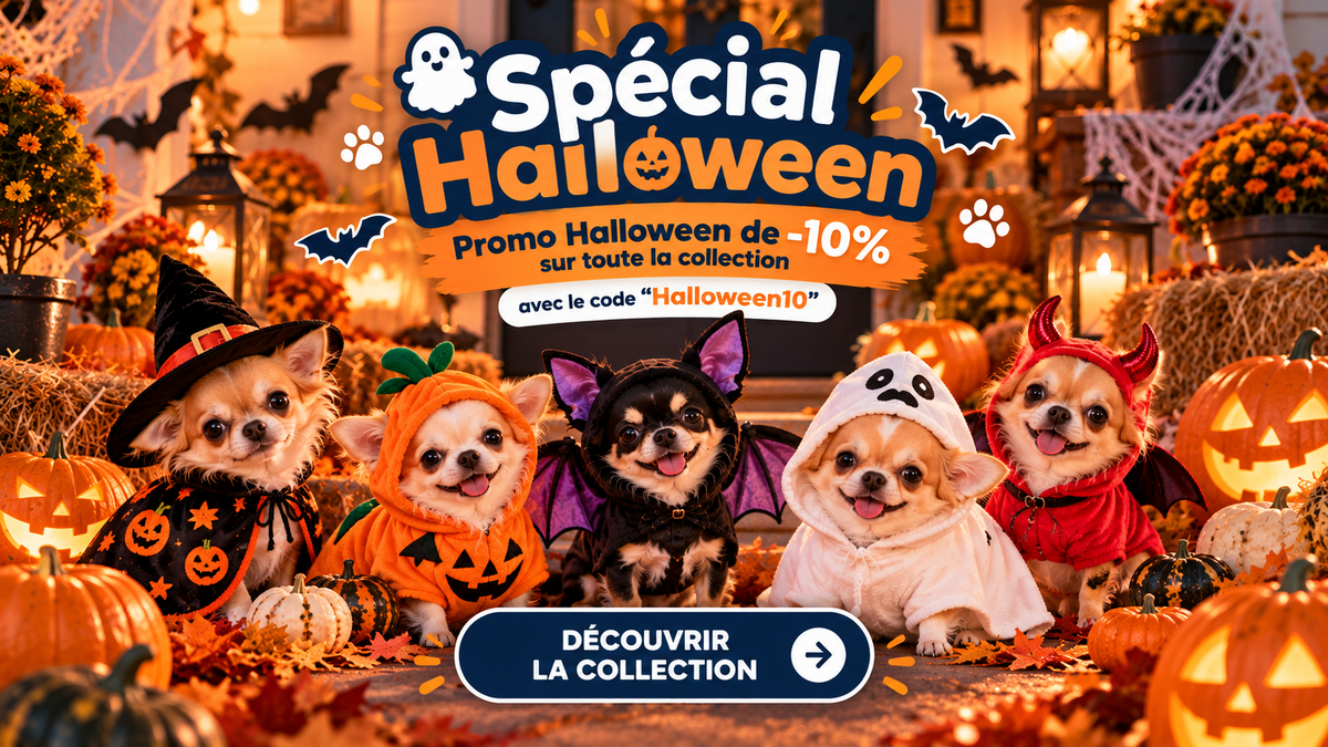 Spécial Halloween : -10% avec le code Halloween10