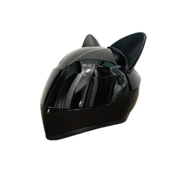 Small Dog Accessories: Black Full Face Helmet