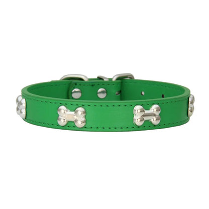 Collier pour Chihuahua en cuir vert avec motifs os. Résistant pour offrir confort et sécurité à votre petit chien ou chat