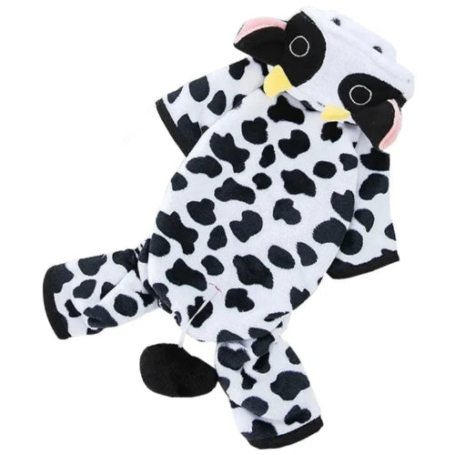 Chihuahua Costume: Cow