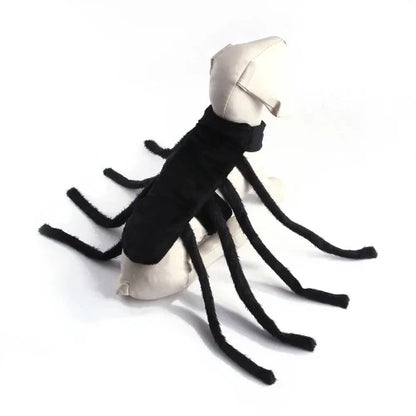 Déguisement Chihuahua : costume d’araignée confortable et tendance, parfait pour les fêtes, évènements, anniversaires ou halloween – taille parfaite pour les petits chiens - vue de face