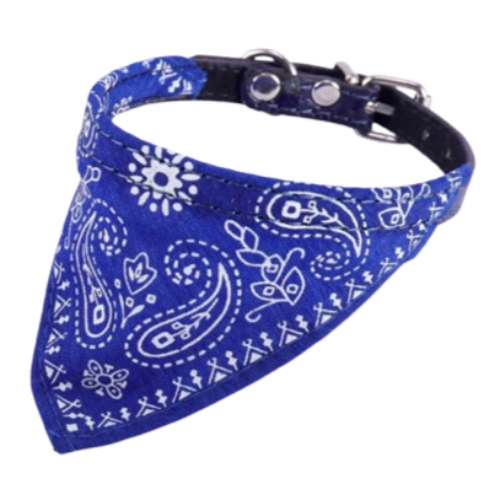 Collier Chihuahua : Foulard Biker