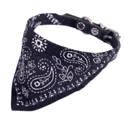 Collier Chihuahua : Foulard Biker