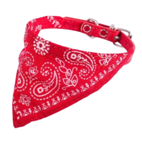 Collier Chihuahua : Foulard Biker