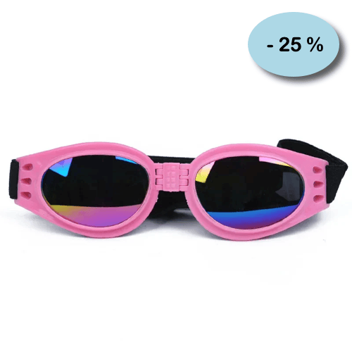 Accessoire Chihuahua : Lunettes Pliables Roses (-25 %)