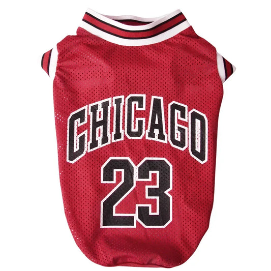 Maillot NBA Jordan Chihuahua