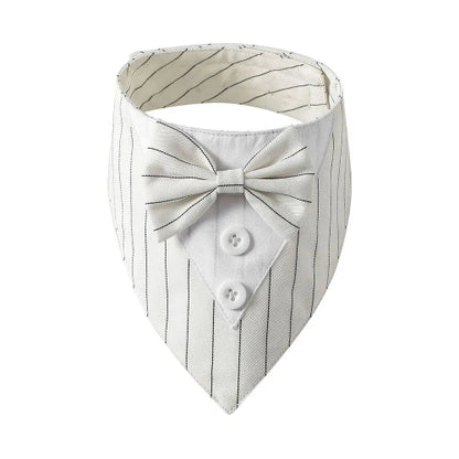 Déguisement Chihuahua : noeud papillon blanc à rayures pour smoking confortable et tendance, parfait pour les fêtes, évènements, anniversaires ou halloween – taille parfaite pour les petits chiens