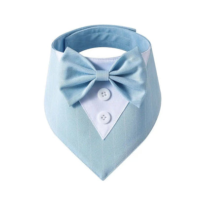 Déguisement Chihuahua : noeud papillon bleu pour smoking confortable et tendance, parfait pour les fêtes, évènements, anniversaires ou halloween – taille parfaite pour les petits chiens