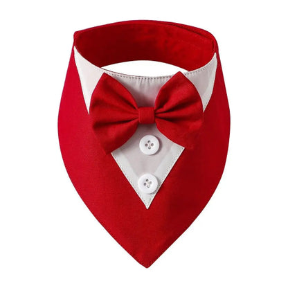 Déguisement Chihuahua : noeud papillon rouge pour smoking confortable et tendance, parfait pour les fêtes, évènements, anniversaires ou halloween – taille parfaite pour les petits chiens