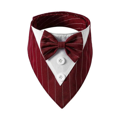 Déguisement Chihuahua : noeud papillon rouge à rayures pour smoking confortable et tendance, parfait pour les fêtes, évènements, anniversaires ou halloween – taille parfaite pour les petits chiens