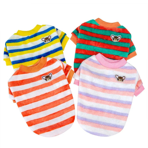 Chihuahua Sweater: Stripes