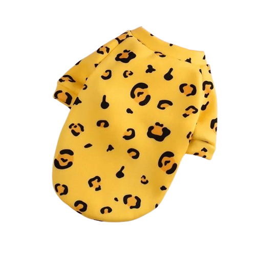 Chihuahua Sweater: Leopard