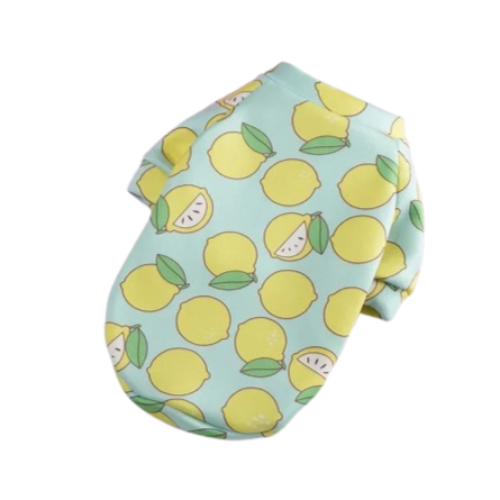 Chihuahua Sweater: Lemons