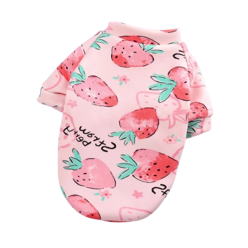 Chihuahua Sweater: Pink Strawberries