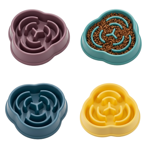 Gamelle Chien : Anti gloutons motifs ludiques